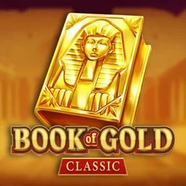 game logo by Playson on vegasinocasinoo.fi